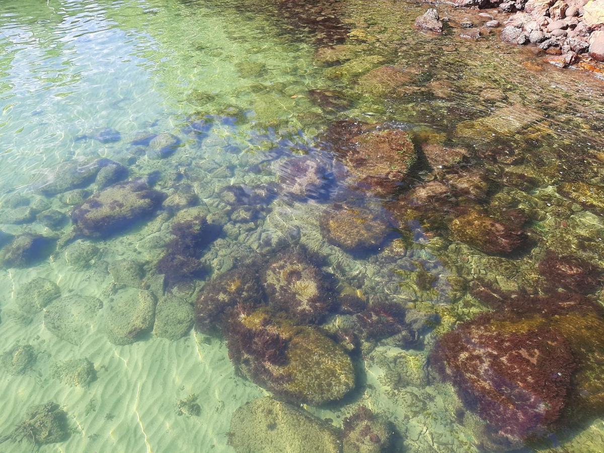 Casa Maravilhosa A Beira Mar Em Angra Dos Reis Villa Dış mekan fotoğraf